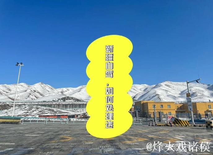 例行公事?中巴都想全力出战 塔拉吉奇笑言送绝杀 例行公事?中巴都想全力出战 塔拉吉奇笑言送绝杀